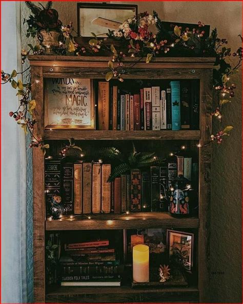 How to Care for Plants in Your Magical Garden Bookcase